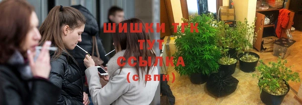 спайс Сясьстрой