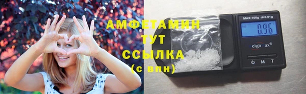 трава Тавда