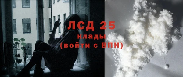 трава Тавда