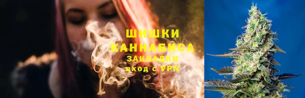 трава Тавда