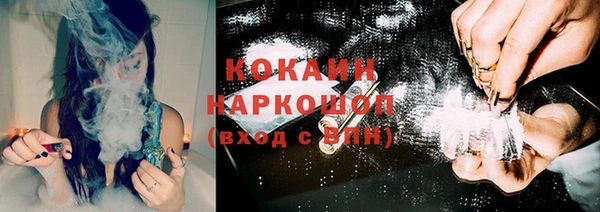 трава Тавда