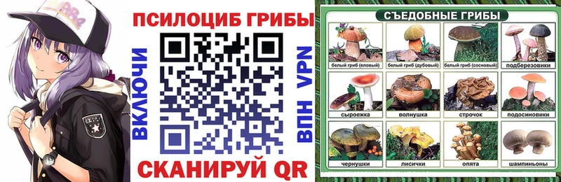 Галлюциногенные грибы Psilocybe  Купить закладки  Санкт-Петербург 